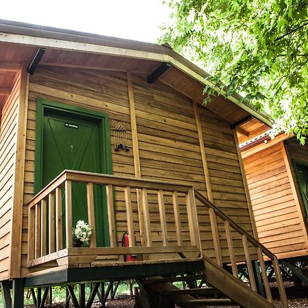 Ekinoks Hotel - Adults Only Çıralı Eksteriør bilde