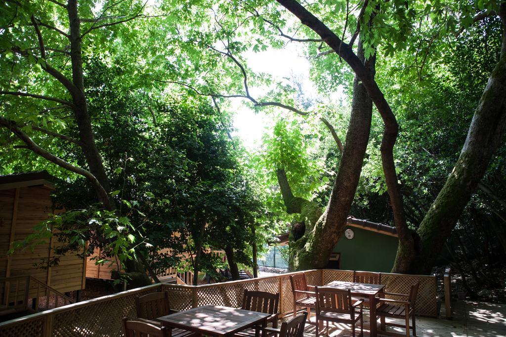 Ekinoks Hotel - Adults Only Çıralı Eksteriør bilde